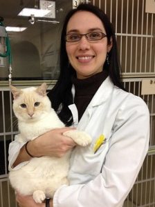 Dr. Melissa Mustillo|A Cat Clinic, Germantown, MD