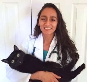 A Cat Clinic welcomes Dr. Nikhita De Bernardis