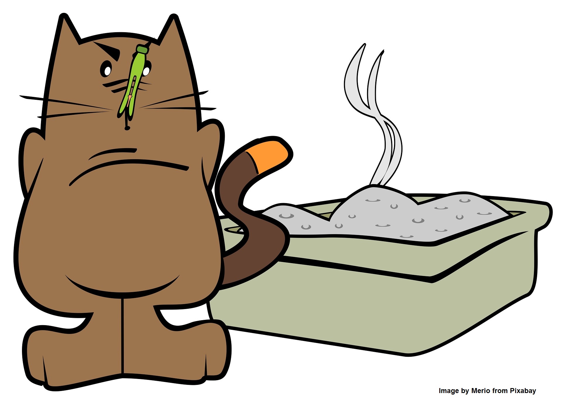 Cat with stinky litter pan Pixabay cartoons 1998573 1920 with credit 2